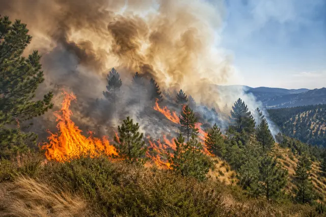 RHMZ upozorava: Tropske temperature i rizik od požara do 10. septembra, osveženje tek stiže